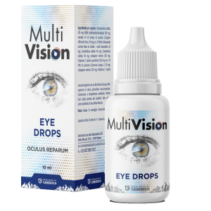 MULTIVISION