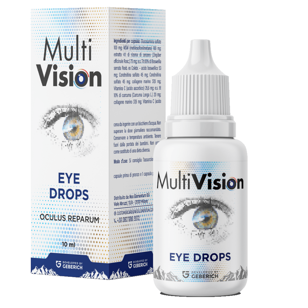 MULTIVISION